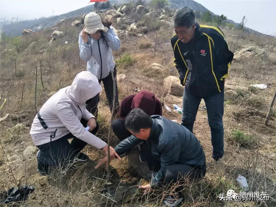 锦州南山公园最新动态更新，最新消息一览