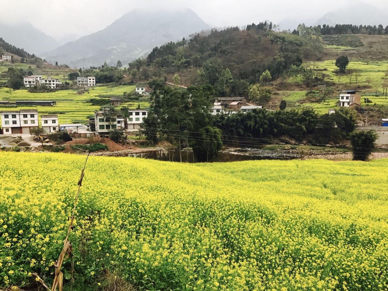 屏山镇最新天气预报,屏山镇最新天气预报