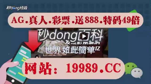 2024澳门特马今晚开奖亿彩网,决策资料解释落实_Holo64.917