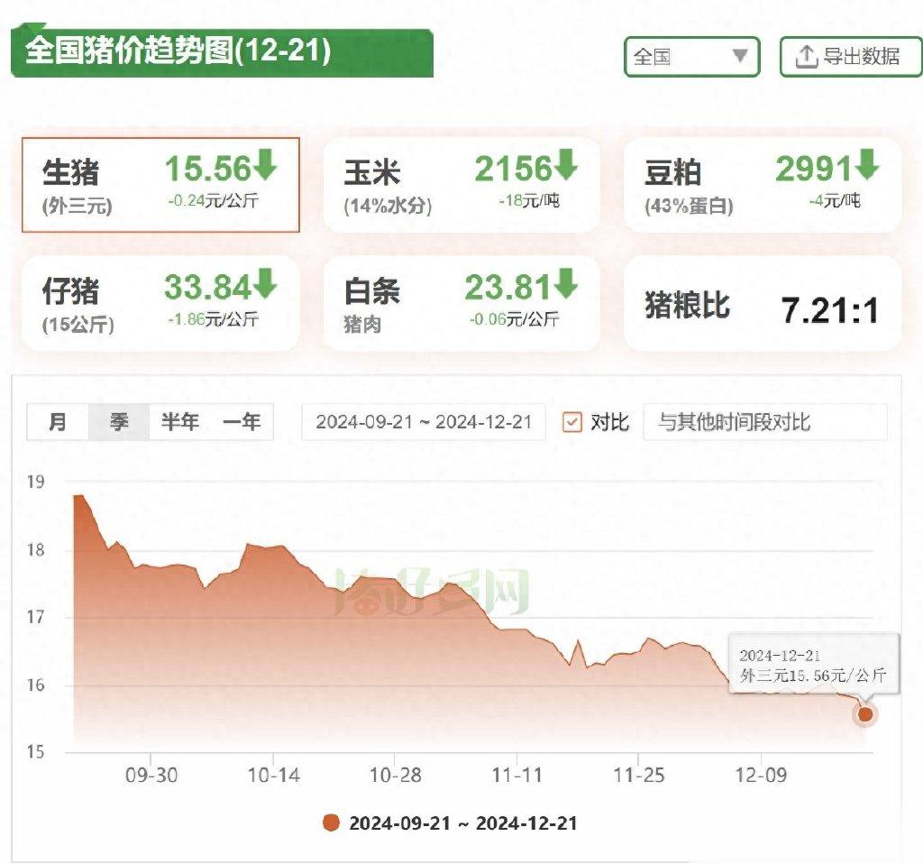 2024年12月 第27页