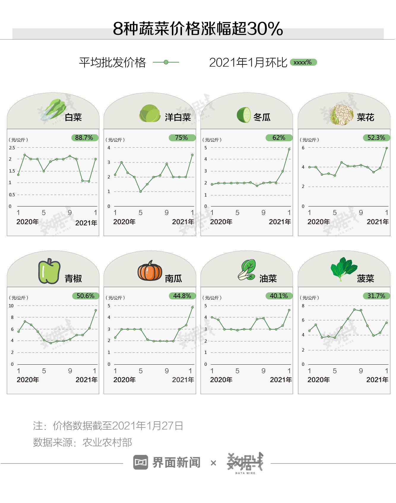 洋白菜最新价格表及行情分析